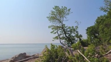 Point Pelee beach at national park panoramic view in Ontario, Canada. Most southern point in mainland Canada during summer season. Point Pelee tip at windy day and heavy strong waves. Lake Erie.
