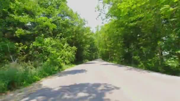 Πόιντ Πίλι Ντράιβ Οπίσθια Όψη Αυτοκινήτου Θέα Οδήγησης Δρόμος Πίσω — Αρχείο Βίντεο