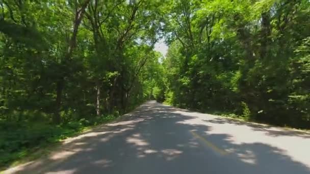 Point Pelee Drive Pov View Look Out Car Driving Canopy — Stockvideo