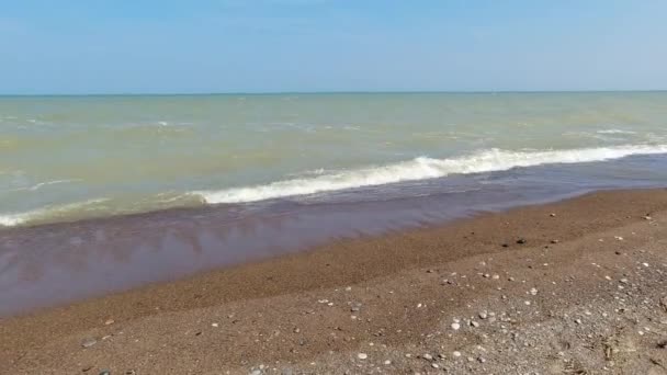 Point Pelee Beach National Park Panoramic View Ontario Canada Most — Stok Video