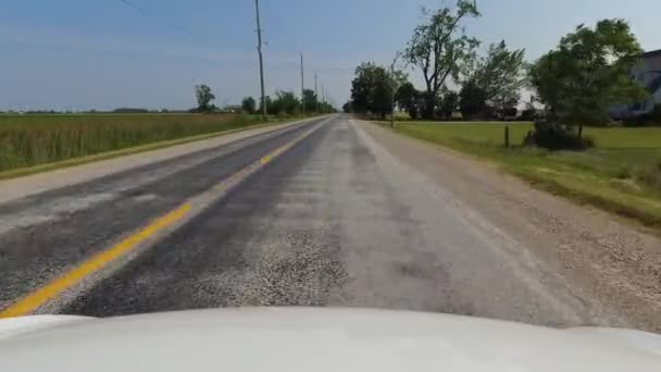 Cinematic Pov Shot Asphalt Road Country Side Canada Point View — Wideo stockowe