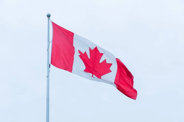加拿大国旗 有枫叶在杆子运动 加拿大国旗在夏日的天空中飘扬 加拿大国旗在风中飘扬 — 图库照片