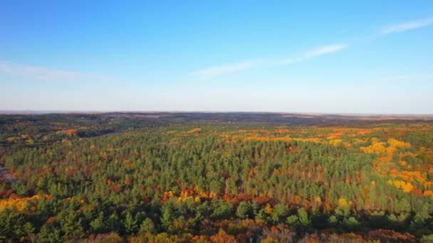 Panorama Luftaufnahme Des Stadtwaldes Von Cobourg Der Kanadischen Provinz Ontario — Stockvideo