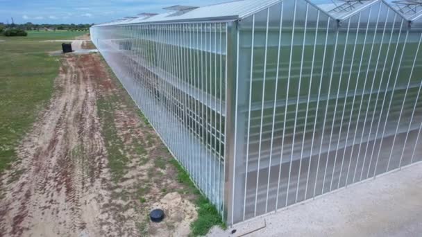 Industriell Utsikt Över Växthuset Växthus Glas För Odling Grönsaker Odling — Stockvideo