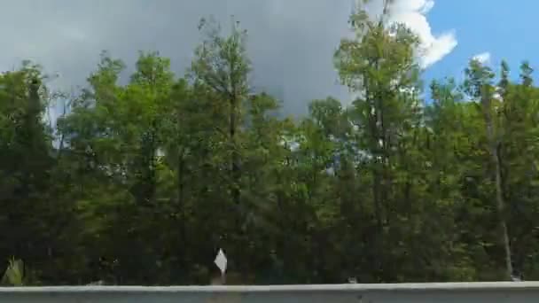 在69号公路上的侧视图前置驱动板 在旅行过程中 乘客的Pov驱动汽车视图 加拿大的道路 茂密的绿林 乡村奇景 — 图库视频影像