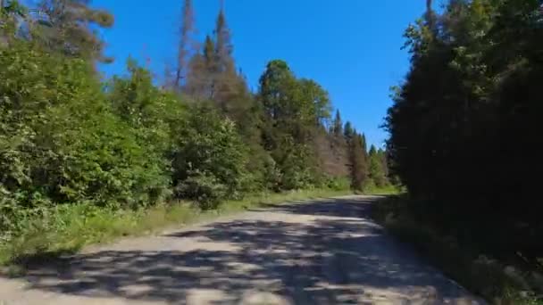グラベルロード上のプレートを前方に表示します Povドライビングカービュー 緑の木が並ぶ田園風の道 夏は晴れた青空 マニトリン島の空の曲線道路 トラフィックなし — ストック動画