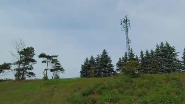 在69号公路上的侧视图前置驱动板 在旅行过程中 乘客的Pov驱动汽车视图 加拿大的道路 茂密的绿林 乡村奇景 — 图库视频影像