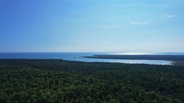 上からのハロン湖と緑の植生の視界のミゼリーベイの水 多様なトレイルや野生生物を探索する 自然との調和 ヒューロン湖の壮大な景色 カナダの湖 — ストック動画