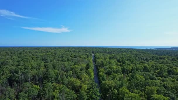 Misery Bay Road Aerial View 生态港的风景秀丽的绿色奇观 加拿大探险和野外旅游 奥图林岛 在夏天逃离大自然 — 图库视频影像