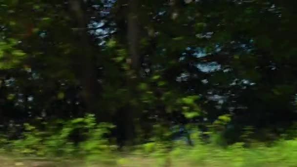 Yan Görüş Sürücü Plakası Sürücü Sağ Tarafı Mindemoya Gölü Ketchankooken — Stok video