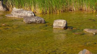 Manitou Nehri 'nin kayalık suyu, Sandfield Barajı, Manitou Gölü, Manitoulin Adası, Kuzey Ontario, Kanada yakınlarındaki Park. Yaz havası ve büyüleyici bir manzara. Turizm seyahati, macera ve keşif.