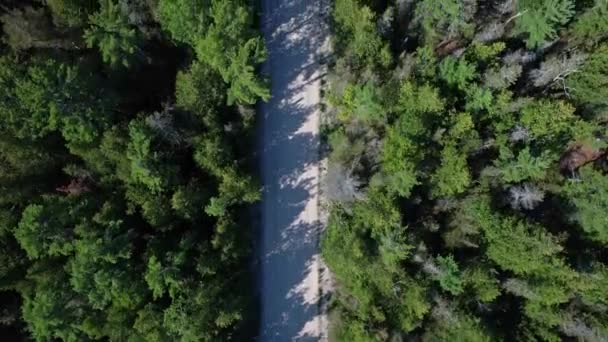 Misery Bay Vedere Aeriană Sus Natură Spațiu Verde Insula Manitoulin — Videoclip de stoc