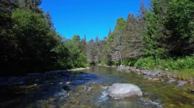 Kuzey Amerika ormanlarına yuva yapmış vahşi doğa deresi. Kristal berrak sular macera yürüyüşü sırasında güneşli yaz gününü yansıtır. Blue Jay Creek nehri, Michael Körfezi, Huron Gölü, Manitoulin