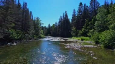 Kuzey Amerika ormanlarına yuva yapmış vahşi doğa deresi. Kristal berrak sular macera yürüyüşü sırasında güneşli yaz gününü yansıtır. Blue Jay Creek nehri, Michael Körfezi, Huron Gölü, Manitoulin