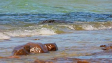 Providence Bay manzaralı, Huron Gölü, Manitoulin Adası, Ontario, Kanada. Yer, doğa aktiviteleri, yürüyüş, bisiklet ve kuş gözlemciliği için uygundur. Bölgede turistler için tanınabilir bir dönüm noktası.