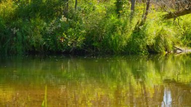 Michael 's Bay, Huron Gölü, Manitoulin Adası' ndaki Blue Jay Creek nehri doğa sever bir cenneti gözler önüne seriyor. Blue Jay Creek yolunda sakin bir yolculuk hayal edin. Uyumlu bir geri çekilme ve macera.