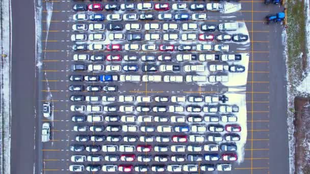 Alto Volume Carros Usados Localizados Parque Estacionamento Transporte Veículos Vista — Vídeo de Stock