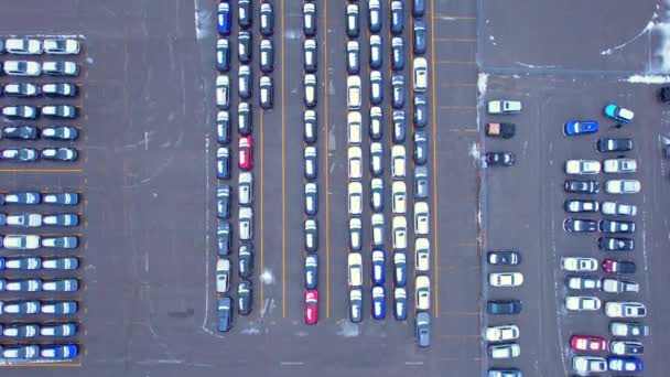 High Volume Used Cars Located Vehicle Transportation Parking Lot Aerial — Stock Video