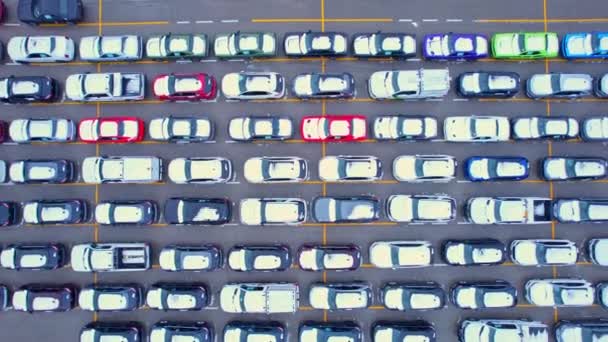 米国および国際的に輸出のための新しく 使用された車が付いている車の貯蔵か駐車場の航空眺め 車両輸送施設 免許証 許可を取得するのを待つ — ストック動画