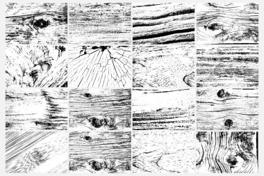Soyut ağaç ahşap yüzey dokusu arka plan seti. Doğa ahşap doku koleksiyonu. Siyah ve beyaz. Vektör arkaplan tasarımı. Orman koleksiyonu bulur, doğal ağaç düzlüğü..