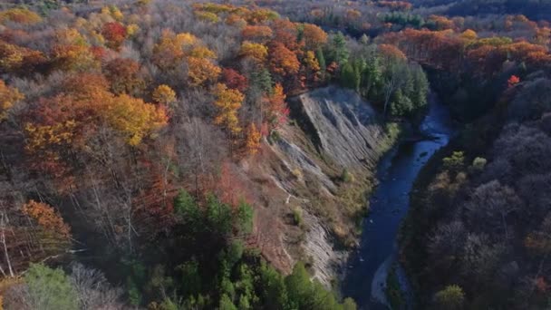 Letecký Záběr Lesa Podzimní Sezóně Barvy Podzimního Období Epický Pomalý — Stock video
