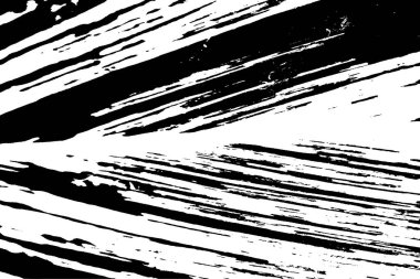 Değişken kabuklu zencefilli yaprak eğreltiotu izi. Tropikal bitki dokusu. Siyah ve beyaz tropikal bitki örtüsü. Egzotik bitki dokusu.