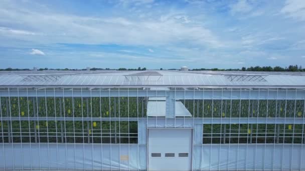 グリーンハウスの空中眺望付近の廃棄物管理 温室農業と不適切な野菜の食品廃棄物管理 グリーンハウスと農業技術と産業における栽培 — ストック動画