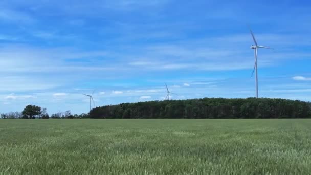 小麦航向视野中的大型叶片风力涡轮机 农场全景 可持续替代能源 慢动作 农场的风车 产生绿色能源 — 图库视频影像