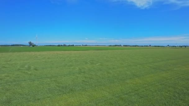 上からの麦畑の眺め 強い風から波に乗って移動する作物 若い緑の小麦は夏の日にゆっくりと揺れる 食べ物の概念 カナダの田舎の無限の緑のフィールドの眺め — ストック動画