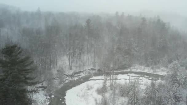Kraftigt Snöfall Skogen Snöstormslandskap Med Fallande Snö Vid Tallar Dal — Stockvideo