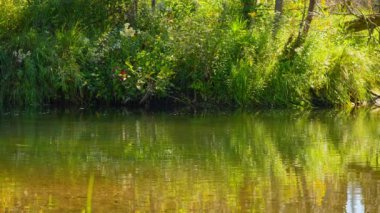 Blue Jay Creek nehri Michael Körfezi 'ne bağlanıyor, Huron Gölü, Manitoulin Adası. Seyahat ve keşif, eğlence aktiviteleri balıkçılık, tekne gezisi ve nehir kıyısı boyunca ve körfez boyunca kuş izleme..