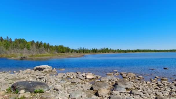 マイケルズベイ ヒューロン湖 マニトリン島 オンタリオ州 カナダ 屋外愛好家のためのトランキルウォーターセット ボートと釣り そして荒野を探検する リトリート — ストック動画