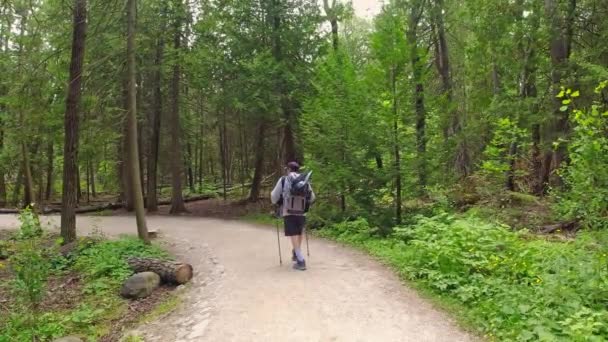阳光明媚的日子 带着背包和摄影器材走在杉树青翠的夏日森林里的远足小径上的远足者 布鲁斯半岛国家公园 加拿大安大略省 — 图库视频影像
