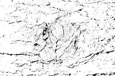 Beyaz siyah ahşap doku vektörü dokuyu örtüyor. Eski ahşap dokusu düz yüzey. Gerçek ahşap arka plan kabuğu. Üst görünüm tahtası. 