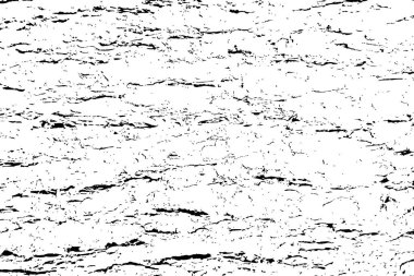 Beyaz siyah ahşap doku, vektör kaplama dokusu. Eski ahşap dokusu düz yüzey. Gerçek ağaç kabuğu ahşap yüzey arka planı. Üst görünüm tahtası. 