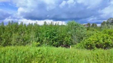 Plaka sağ taraftaki araba manzaralı. Yolcu tarafı sürüş manzarası. Cambridge, Ontario 'da rüya tarlası gezisi. Kanada 'nın kırsal yolları. Tarım alanları ufukta fırtına gibi