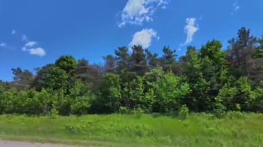 Ontario King 's Highway 28' deki ön yolcu koltuğunda. Yazın bulutlu mavi gökyüzü manzaralı araba plakası çimenli bataklıkları olan doğal yeşil orman ormanı. Bancroft, Ontario manzarası üzerinden sürüş görüntüsü.