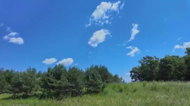 Ontario King 's Highway 28' e doğru ilerleyin. Bulutlu mavi gökyüzü iletişim kulesinin araç plakası. Cep telefonu kuleleri, elektronik ekipman antenleri. Bancroft Kır Evi Ülkesi 'nden geçen görüntüler.