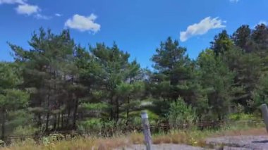 Ontario King 's Highway 28' de arka koltukta ön koltukta oturan yolcu plakası. Yazın bulutlu mavi gökyüzü manzaralı doğal yeşil orman ve yol bekçileri. Bancroft Kır Evi Ülkesi 'nden geçen görüntüler.