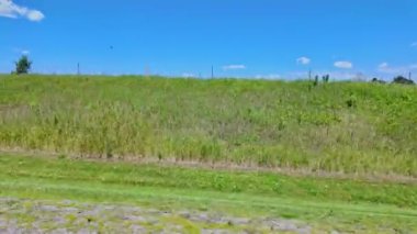 Ön yolcu koltuğunun sağ tarafındaki araç görüntüsü. Yolcu penceresi yan sürüş manzarası. Çiftçilerin rüya tarlası POV 'u Ontario King' s Highway 28 'de, yemyeşil tarlayı geçiyor.