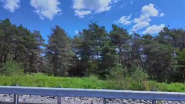 Ontario King 's Highway 28' de arka koltukta ön koltukta oturan yolcu plakası. Yazın bulutlu mavi gökyüzü manzaralı doğal yeşil orman ve yol bekçileri. Bancroft Cottage Ülke manzarası üzerinden gezintiye çıkmak.