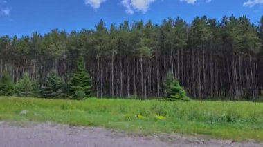 Ontario King 's Highway 28' de arka koltukta ön koltukta oturan yolcu plakası. Yazın bulutlu mavi gökyüzü manzaralı araba plakası çimenli bataklıkları olan doğal yeşil orman ormanı. Bancroft Kır Evi Ülkesi 'nden geçen görüntüler.