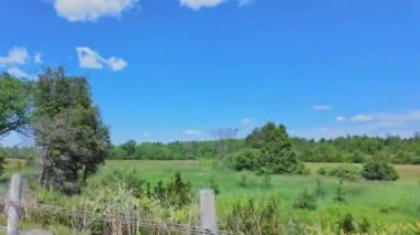 Ontario King 's Highway 28' de arka koltukta ön koltukta oturan yolcu plakası. Yazın bulutlu mavi gökyüzü manzaralı doğal yeşil orman ve yol bekçileri. Bancroft Cottage Ülke manzarası üzerinden gezintiye çıkmak.