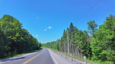 Ontario King 's Highway 28' deki çekimde ön sürücü plakası öndeki sağdaki kaputa bakıyor. POV araba manzaralı. Korumalı kırsal viraj yolu. Yaz günü mavi gökyüzü doğal yeşil orman vahşi doğası. İleride araba yok..