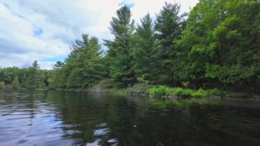 Güzel köknar ağaçları ve teknede balık avlarken gölün kayalık kıyı şeridi manzarası. Hobilerin yaşam tarzı balıkçılık. Eğlence amaçlı balık tutma sporu. Şaşırtıcı Kuzey Amerika doğası.