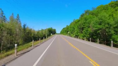 28. otoban kayalık yeşillikten geçiyor. Uzun yeşil ormanlar boyunca asfalt yol. Arabanın arka kısmından sürüş plakası: Bancroft, Kawartha, Ontario, Kanada - 28 Haziran 2024