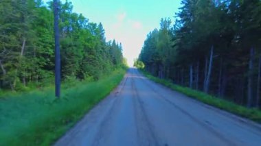 Crown Land 'e çakıllı yoldan giriyor, Pov da arabanın arka camından. Vahşi doğada yol, yaz günü manzarayı yönlendirir. Aracın etrafı ağaçlarla çevrili. Off-road hobisi.