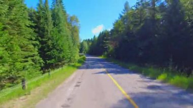POV 28. karayolunu kullanarak Bancroft ve Kawartha, Ontario, Kanada arasındaki kayalık yeşilliği geçiyor. Uzun yeşil ormanlar boyunca asfalt yol. Arabanın arka koltuğundan sürüş plakası.