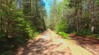 Güneşli bir yaz gününde Kanada 'nın Alberta kentindeki Crown Land' den uzakta çamurlu, çamurlu kumlu bir yolda plaka levhası sürüyorum. Kanada Doğa Gezisi. Kamp ve balıkçılık yeri arıyorum.