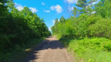 Gündüz çakıl taşlı yol boyunca ormanda çukur kazmak. Kırsal kesimde seyahat. Taştan bir off-road 'da kayalık toprak yolda ilerliyoruz. Sürücü kürkü arazisi. Uzak tehlikeli konum.